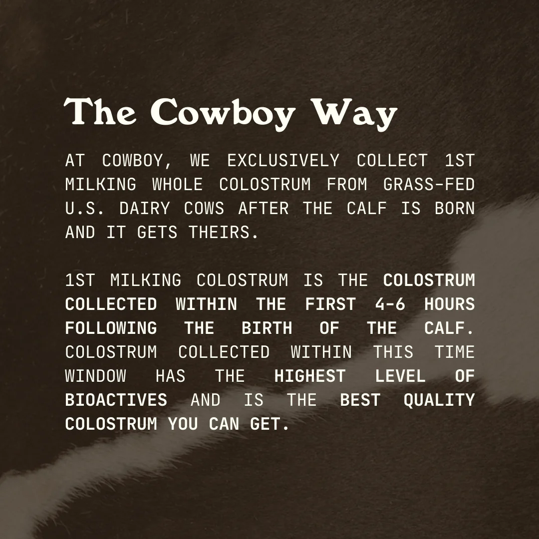 Vanilla Colostrum - Image 3